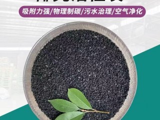 锐和原生净水炭2-4椰壳活性炭